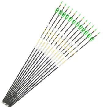 

V1 Archery Spine 350-800 Carbon Arrows 30.5'' Shaft Pin nock Points Recurve Bow Longbow Hunting Shooting
