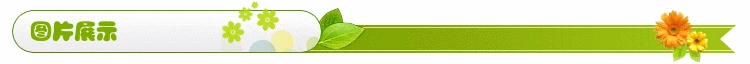Горячие продажи мягкие игрушки мультфильм большие уши слон Pu модель декомпрессии игрушки производители