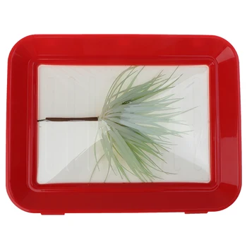 

1PC Creative Food Preservation Tray Plastic Food Storage Container Set Food Fresh Storage Microwave Cover
