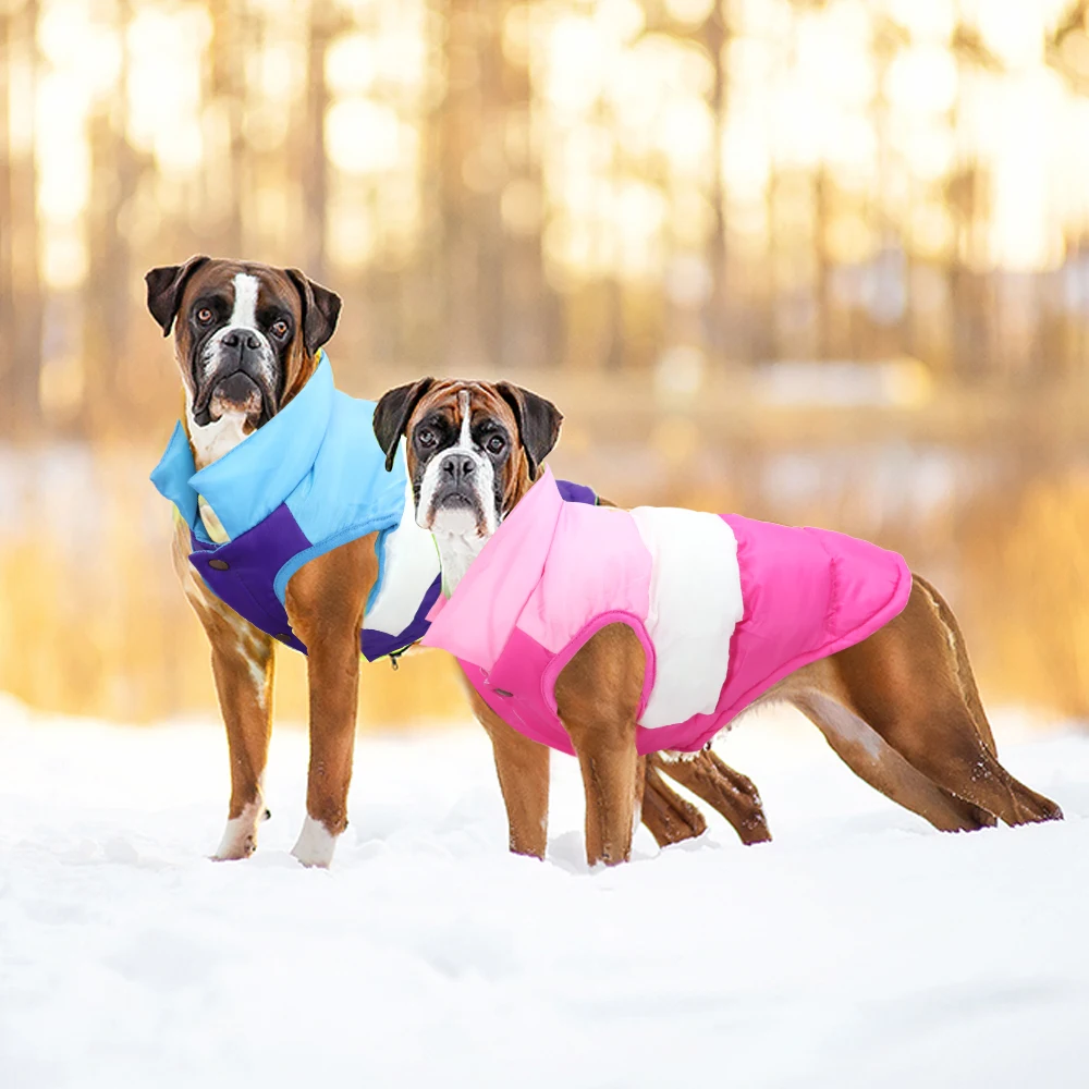 Giacca in pelle per animali domestici Abbigliamento invernale impermeabile per  cani Cappotto invernale caldo in autunno