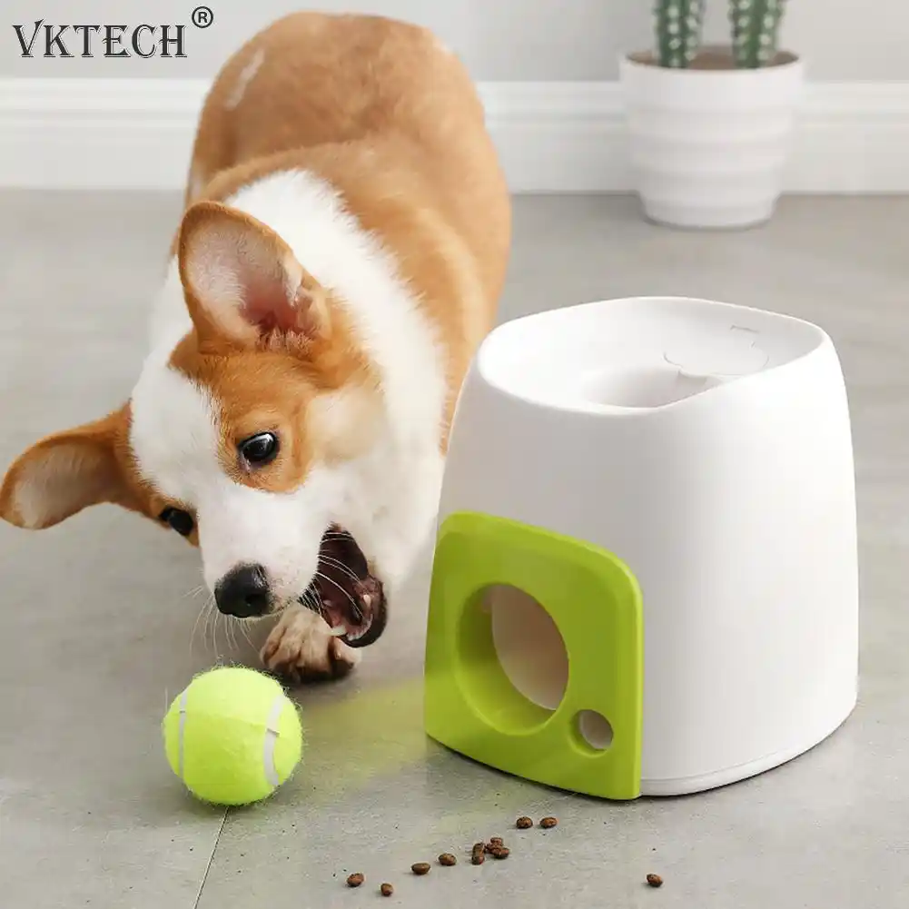 indoor tennis ball launcher for dogs