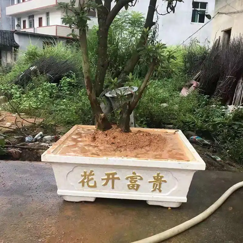 Landscape Light Kit Set Quartet, Landscape Architect Jobs Near Me 20, Garden Planters 60cm Korea