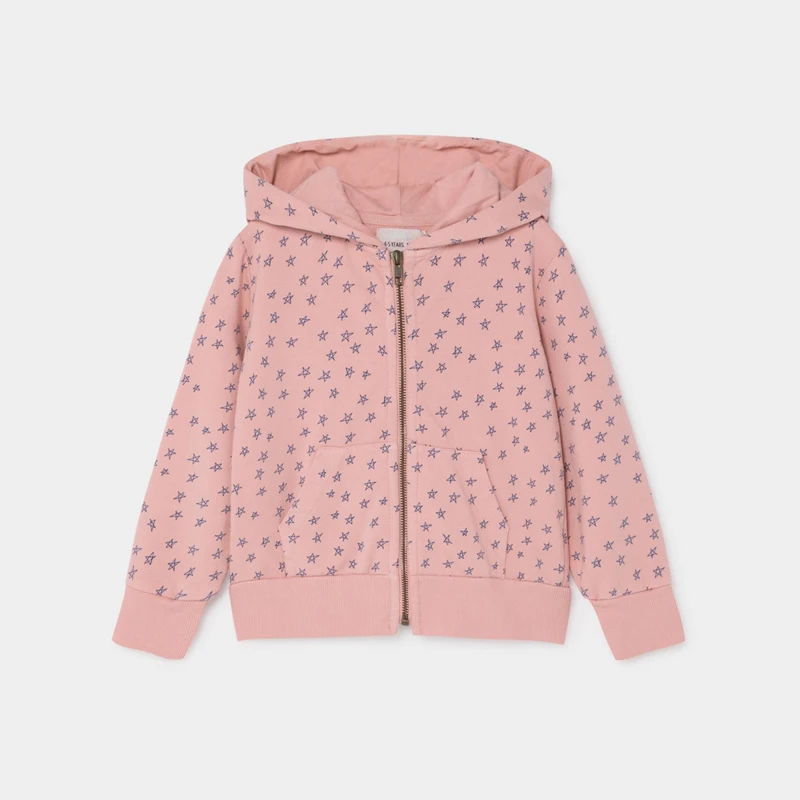 Pink Hoodie Детское пальто г. Осенне-зимнее пальто для мальчиков и девочек куртка с капюшоном Детский хлопковый свитер ветрозащитная Толстовка детская верхняя одежда - Цвет: Pink Hoodie