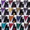 Hi-Tie Fashion Men's Cravat Set Luxury Floral Paisley Cravat Tie Men 100% Silk Red Blue Pink Ascot Pocket Square Cravat for Men ► Photo 2/6