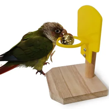 

Parrot Puzzle Training Intelligence Development Mini Basket Shooting Basketball Stand With Ball Bird Toys Parrot Toy Bird Toy