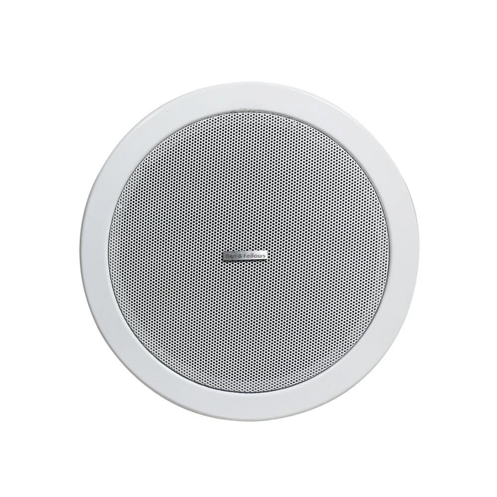 poe ceiling speaker