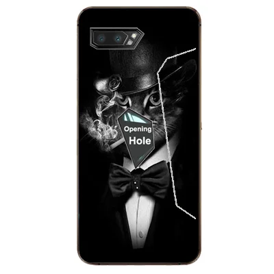 Чехол с рисунком для Asus ROG Phone 2 мягкий чехол из ТПУ ZS660KL 2019 задней крышки телефона