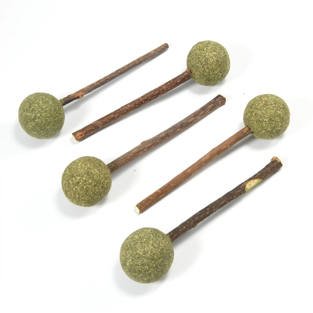 Catnip Lollipop Toy