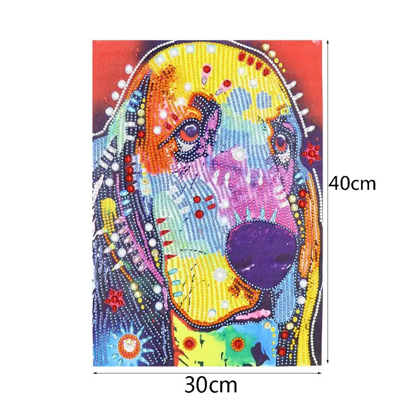 

5D Special Diamond Painting Embroidery DIY Needlework Rhinestone