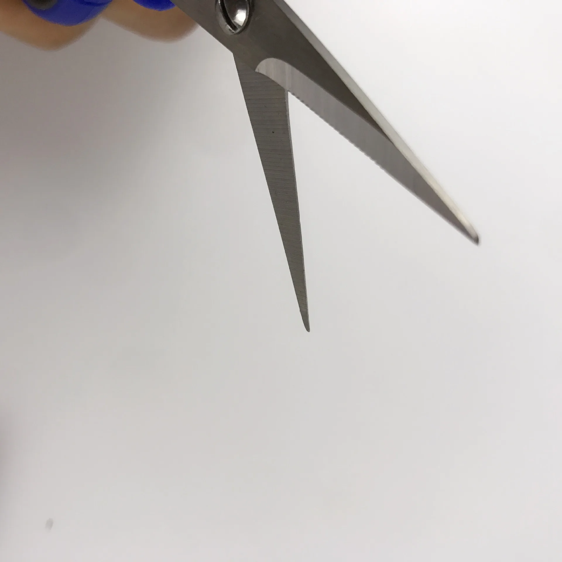 

Fishing King Fishing Scissors Fishing Box Only Multi-functional Stainless Steel Three-in-One Lead Sheet Shear PE Line Scissors S
