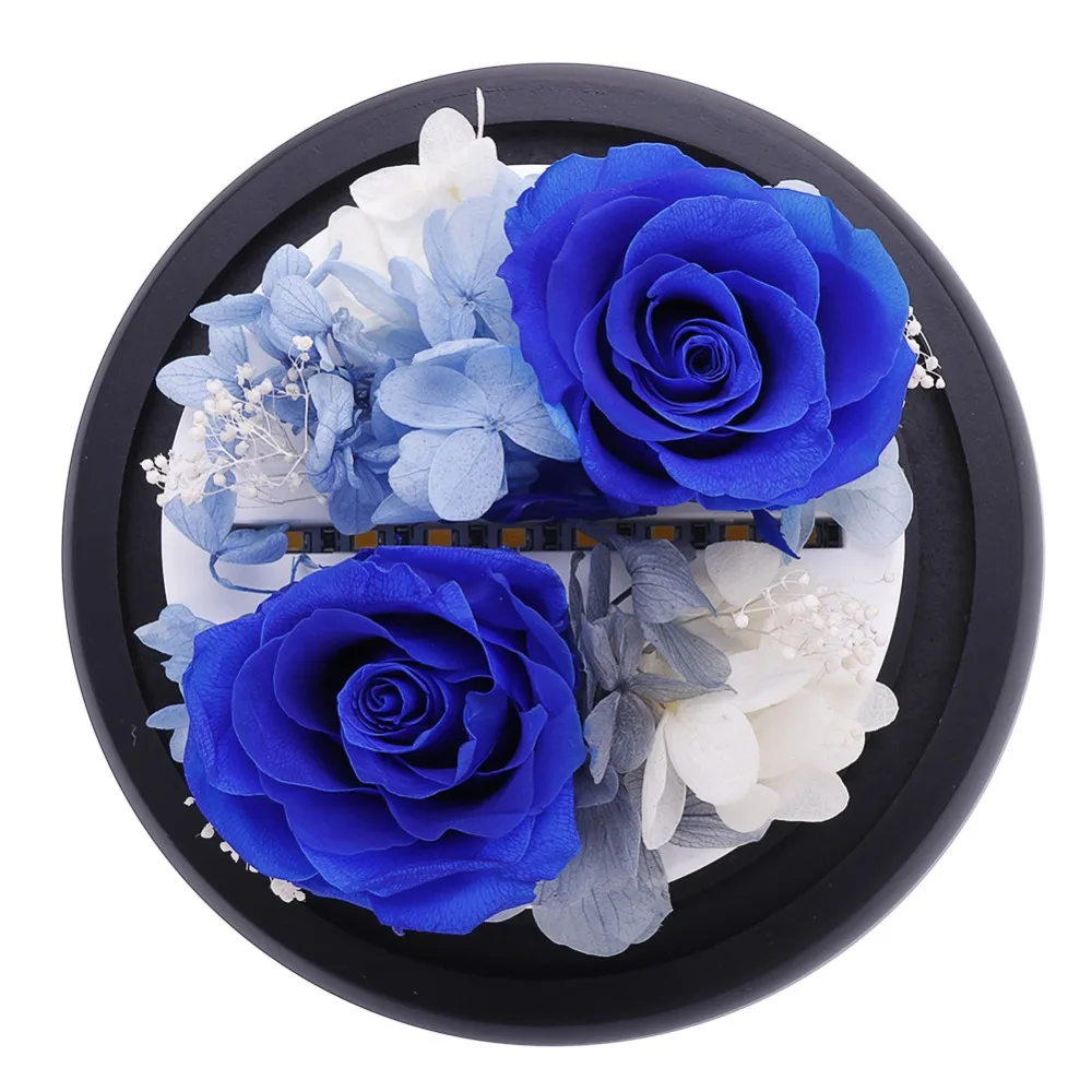 New Sale Enchanted Rose Last Forever in Glass Soft LED Light Flower Valentine's Day Anniversary Romantic Birthday Christmas Gift