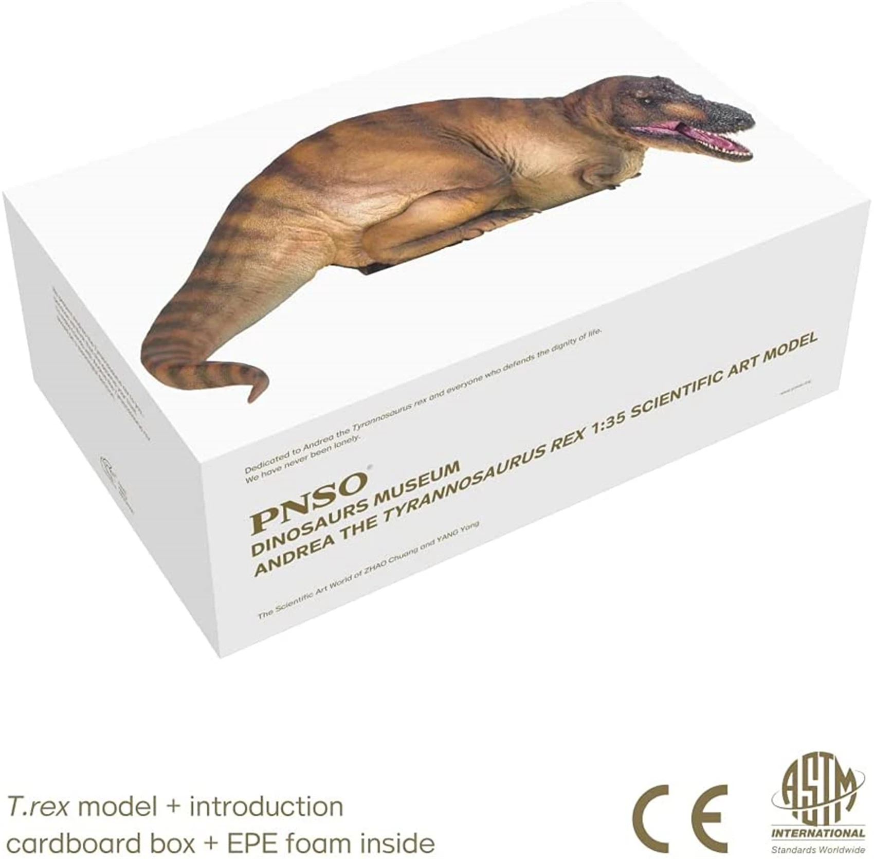 その他 ANDREA DINOTE ART PLASTIC PNSO Dinosaur Museums Series: Andrea The Tyrannosaurus REX 1