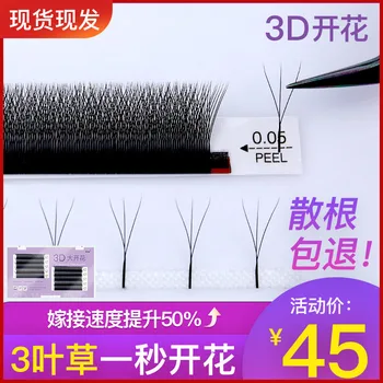

3D Second Flowering Graft Eyelashes Y YY Automatic Planting Mink False Eyelashes Finished Product Camellia 3 Leaf Grass Natural