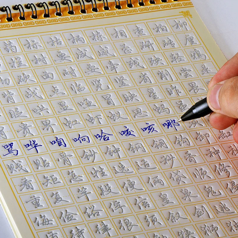 

3D Chinese Characters Reusable Groove Calligraphy Copybook Erasable pen Learn hanzi Adults Art writing books