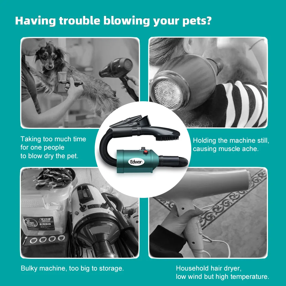 3 IN 1 Mini Dog Hair Dryer For Small Medium Dogs Cat Grooming Brush High Velocity Pet Blower Adjustable Speed Blow Dryer Heater