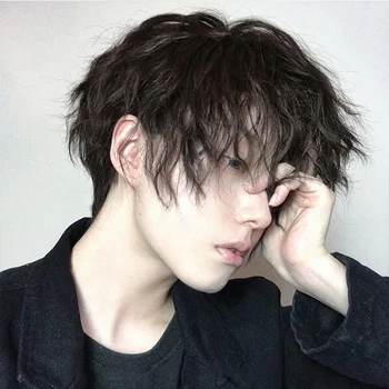 

SHANGKE Short Curly Synthetic Hair Wigs For Men Boy Costume Cosplay Party Natural Black Heat Resistant Fake Hair