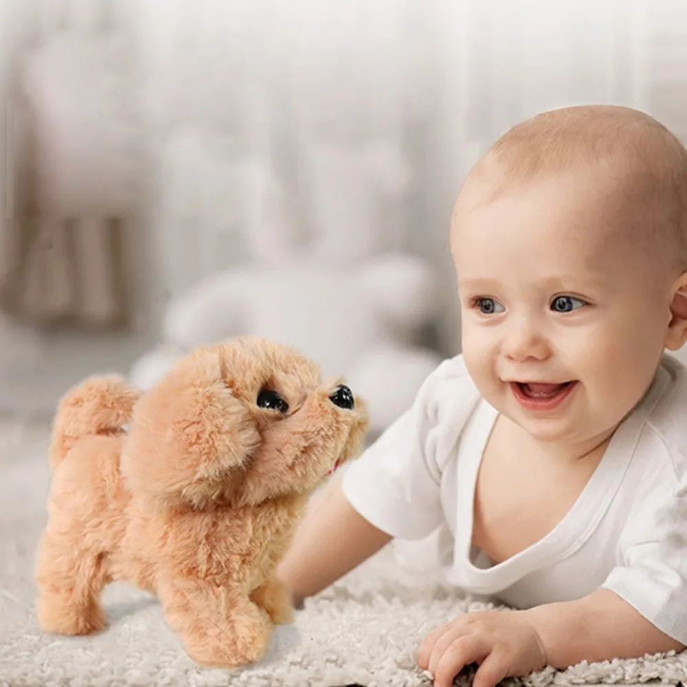 GW74200-C-20091105-1