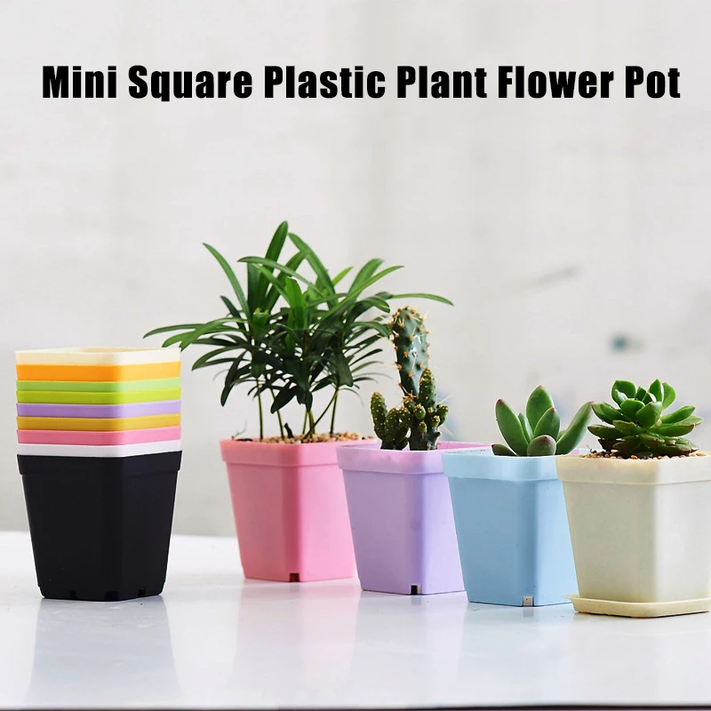 

Spot 1/5/10pcs Mini Square Plastic Plant Flower Pot Home Office Decor Planter Succulent Pots Plant Tool Ornaments Best Price