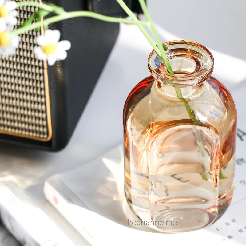 Transparent Glass Flower Vases for Homes, Dry Flower, Gradient Vase, Desktop, Living Room Decoration Accessories, Nordic Home 3