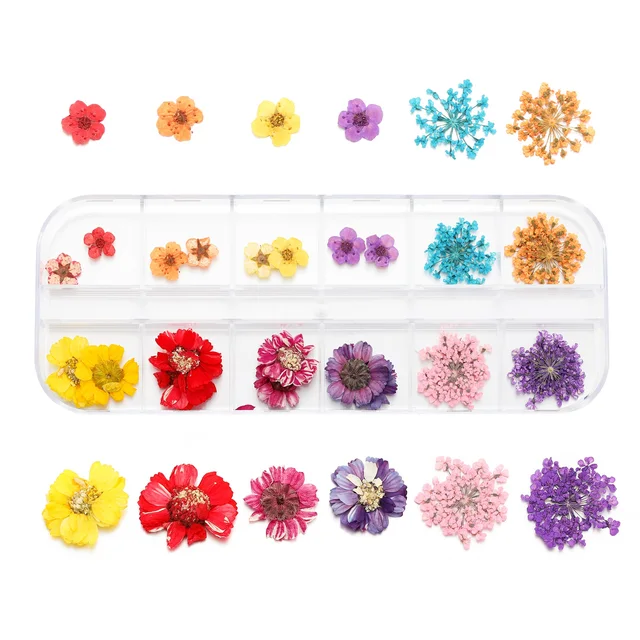 1Box Dried Flowers Dry Plants for Rsein Molds Fillings Epoxy Resin Pendant Tweezers Jewelry Making Craft DIY Nail Art Decoration Style31
