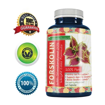 

Free Shipping Pure Forskolin Extract 60 pcs