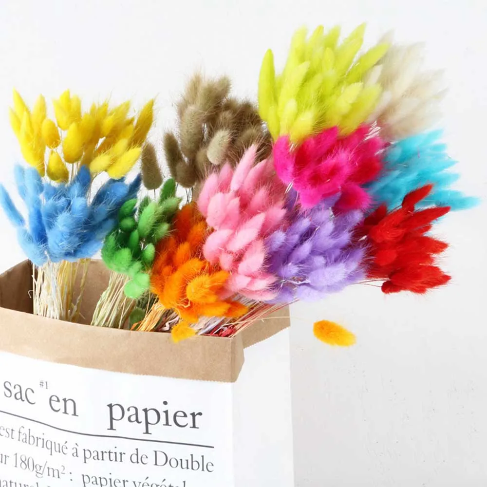 

30 Pcs/lot Wedding Decor Natural Dried Flowers Colorful Flower Bouquet for Rabbit Tail Grass Bunch Home Artificial Decoration