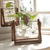Hydroponic Plant Flower Vases Terrarium Vintage Flower Pot Bulb Transparent Glass Vase Wooden Frame Tabletop Home Bonsai Decor 1