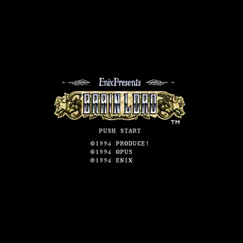 

Brain Lord NTSC Version 16 Bit 46 Pin Big Gray Game Card For USA Game Players