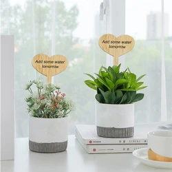Marqueurs de plantes pour jardin d'herbes, étiquettes de paysage, piquets d'identification, piquets de cour plaqués, tranche en bois 30 pièces/ensemble 