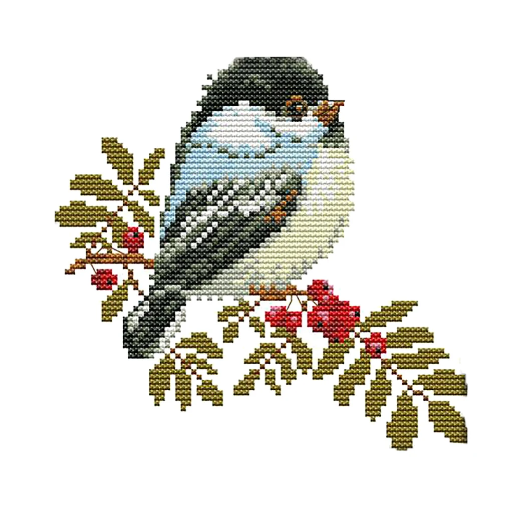 Stamped Cross Stitch Starter Kits Beginners Cross-Stitching Embroidery Kit Accurate Dimensions Needlecrafts Needlepoint 