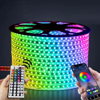 

220V LED Light Strip Outdoor Waterproof RGB 5050 Tape Phone APP and 44-key Remote control flexible lights room decoration lamp