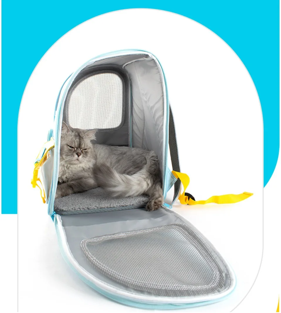 Title 19, Pet Cat Carrier Backpack Transparent Travel Car...