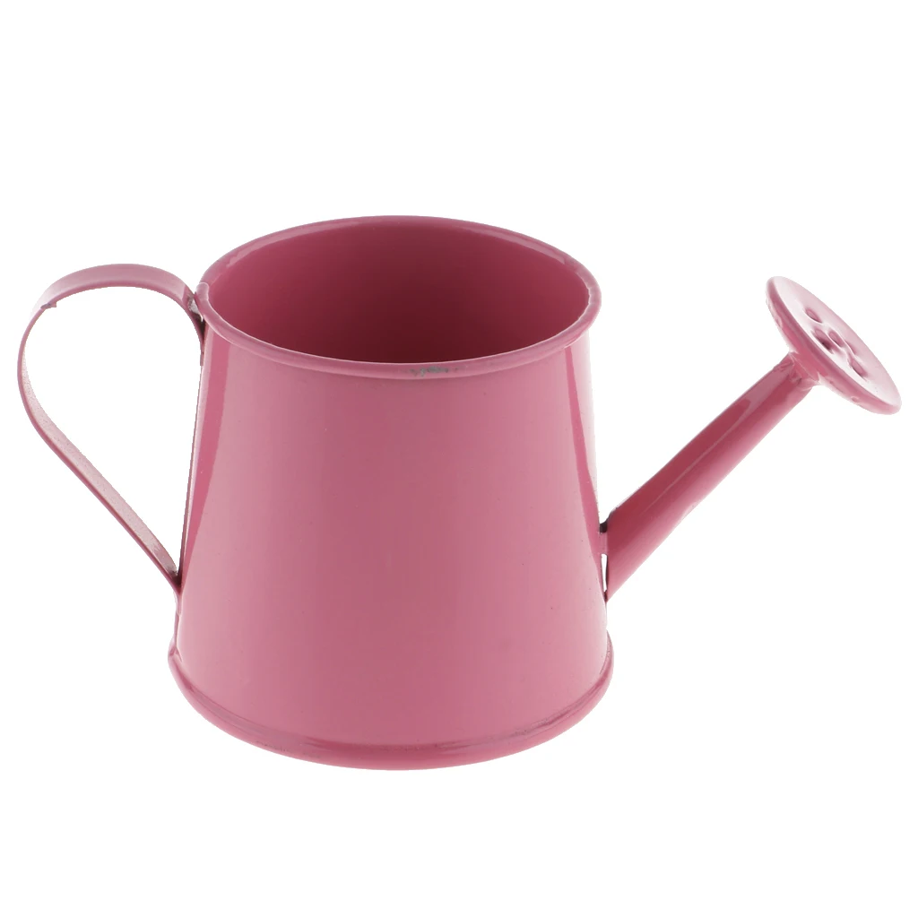 Mini Metal Iron Watering Can, Iron Pitcher Flower Vase, Garden Flower Pot Plant Planter Home Decor