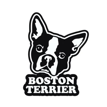 

Lovely Boston Terrier Car Stickers and Decal Funny Rear Windshield Bumper Window Trunk Cover Scratches Accessories KK12*9cm