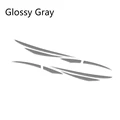 Glossy Gray