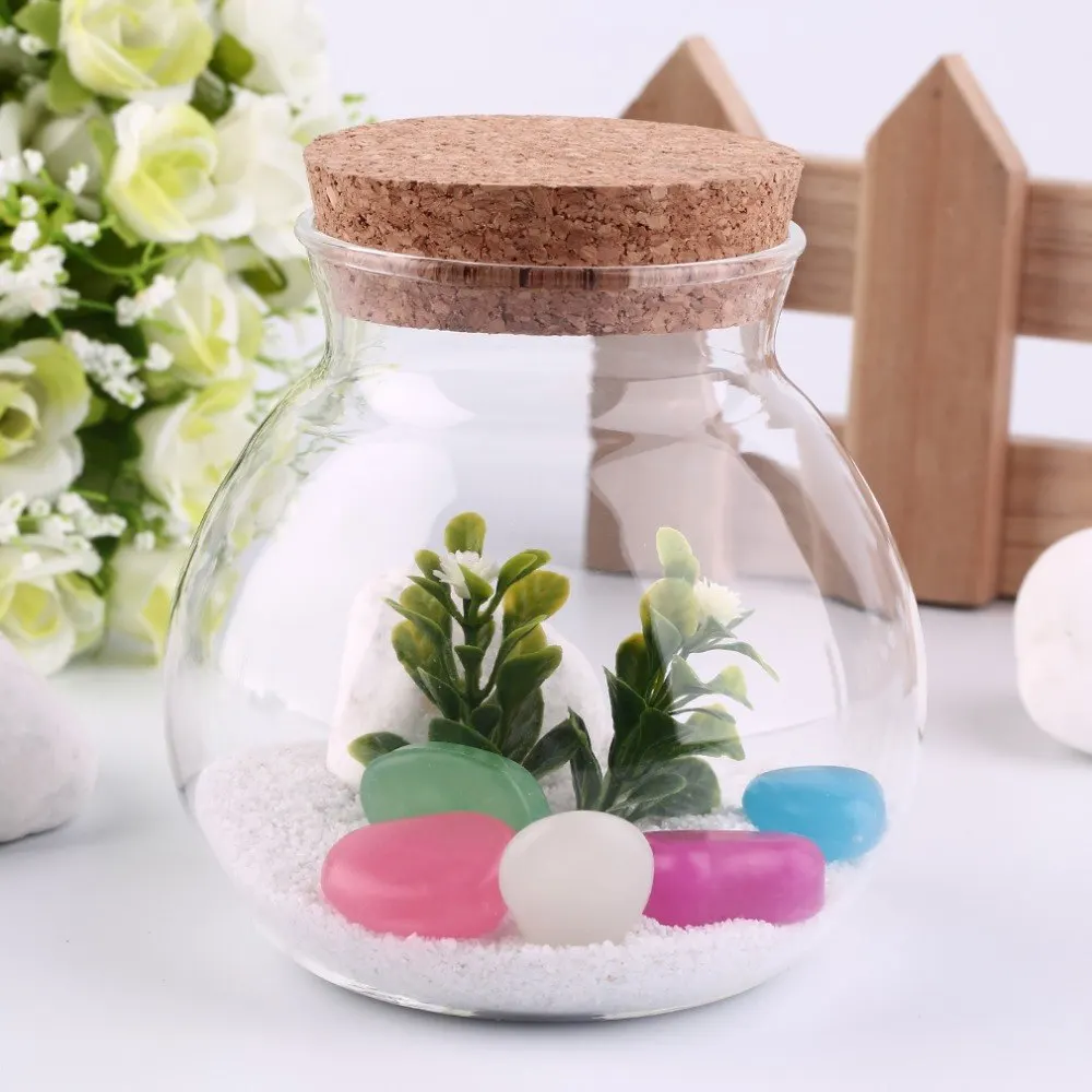 

Cute Design Tea Coffee Sugar Glass Canisters Flower Plant Vase Pot Home Decoration Party Transparent Beauty