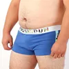 5 PCS/LOT New Arrivals Male Cute Underwear Men's Fashion Boxers Cotton Underpants Arrow Pants Shorts 8 Colors M L XL XXL XXXL 1