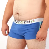 5 PCS/LOT New Arrivals Male Cute Underwear Men's Fashion Boxers Cotton Underpants Arrow Pants Shorts 8 Colors M L XL XXL XXXL 1