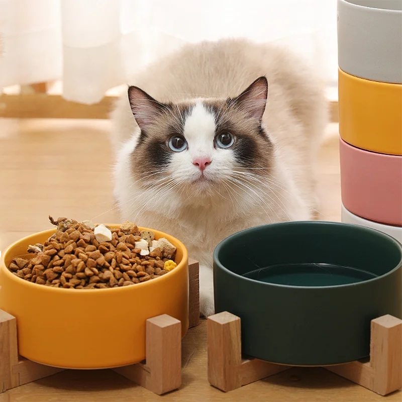 Cubeta Canguro Coordinar Cuenco de cerámica con soporte de bambú para mascotas, recipiente para  beber, contenedor de comida, suministros de alimentación para gatos y  perros|Productos de alimentación para gatos| - AliExpress