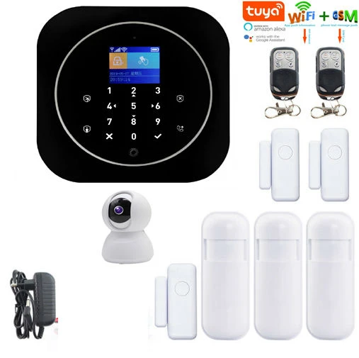 google home burglar alarm