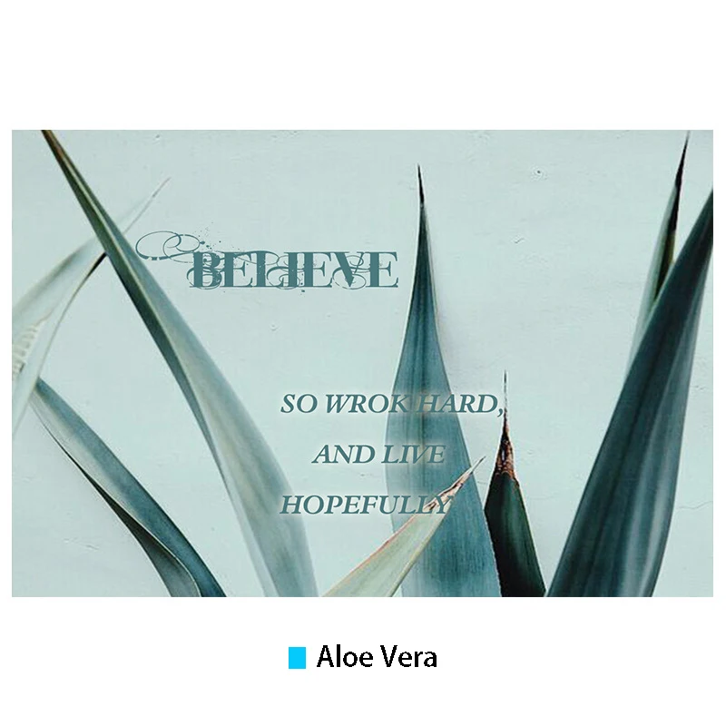 8981230855_112543107