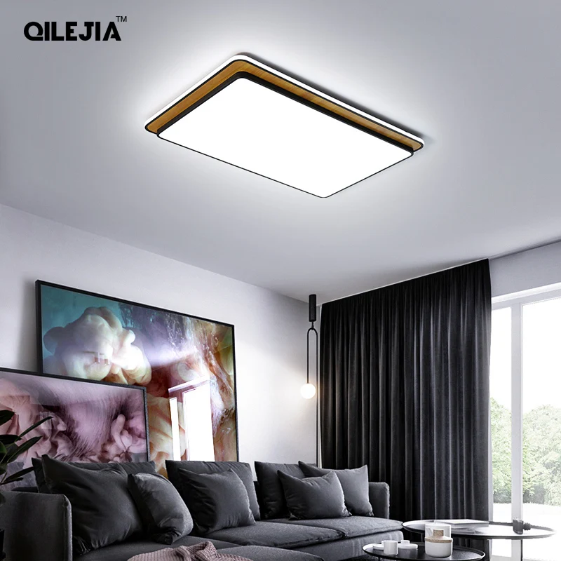 Modern Minimalist Led Ceiling Lights Living Room Lamp Home