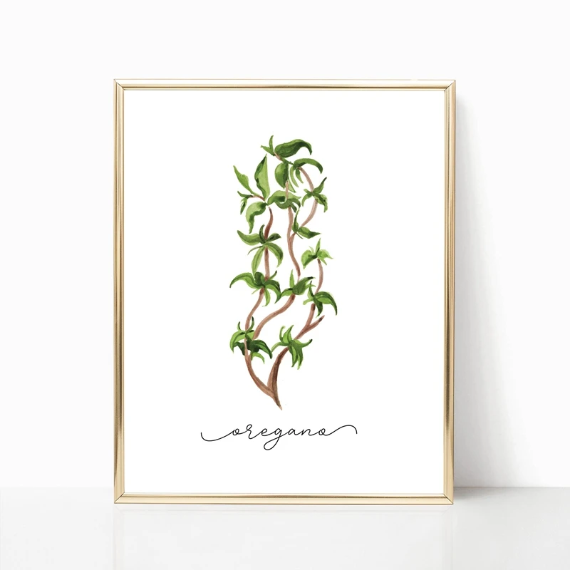 Herb-Collection-Wall-Art-Canvas-Posters-Painting-Oregano-Sage-Rosemary-Basil-Thyme-Watercolor-Wall-Picture-Print (1)