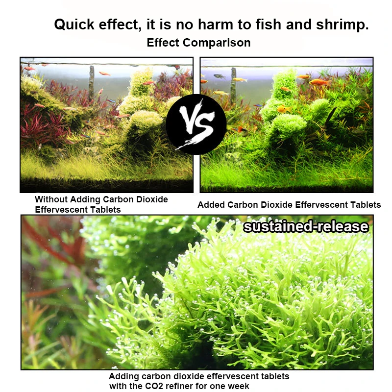 диффузор со2 в аквариуме амано. аквариумные растения углекислый газ. аквариумные растения углекислый газ. аквариумные растения углекислый газ. аквариум с растениями без со2.