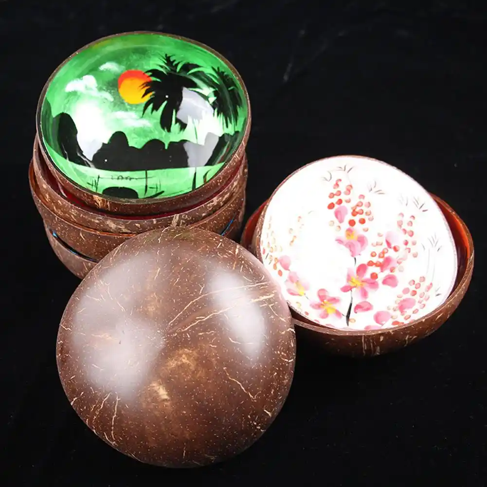 Tigelas De Coco Criativo Estampadas Coloridas Tigelas De Coco E Concha Para Alimentos Salgados Arroz Tigelas Vasos Potes Armazenamento Artesanal Aliexpress