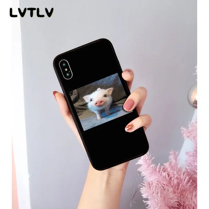 Cute Little Pink Pet Pig