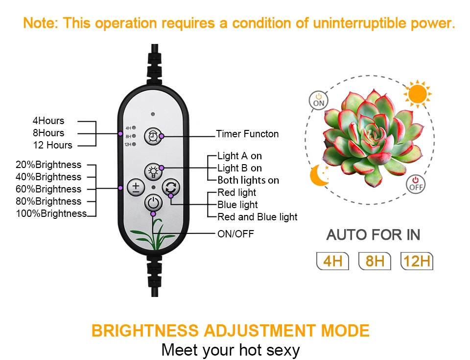 Description Picture 3 of item5V USB Phyto Lamp For Plants LED Grow Light With Control For Indoor Home Plant Full Spectrum Flowers Seedlings Grow Box