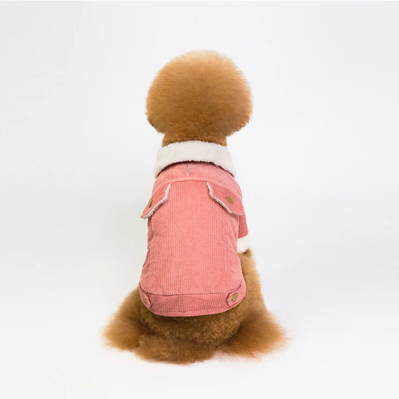 BDTHOOO, хлопок, одежда для собак, высокое качество, узор в горошек, с капюшоном, зимняя куртка для собаки, плотная одежда для собак, новая одежда для собак - Цвет: pink