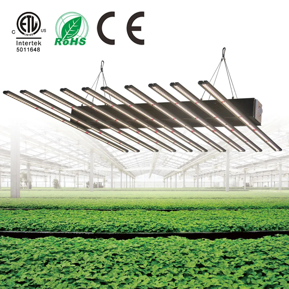 

Factory wholesale high PAR value full spectrum 960w 1280w 800w timing dimming led grow light bloom and grow