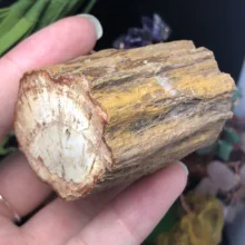 Природный окаменелый деревянный окаменелый камень сырой Рок Кристалл кварц минеральный с лечебным действием, образцы рейки домашний декор
